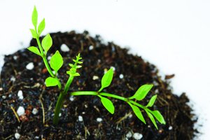 科学方法推荐高效实验物料管理方法